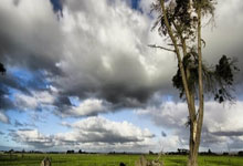 天涯论坛十大神贴回顾：那些让你刷屏的经典回忆！