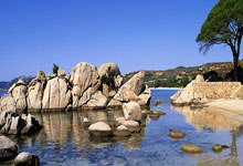 天涯论坛十大神贴回顾：那些让你刷屏的经典回忆！